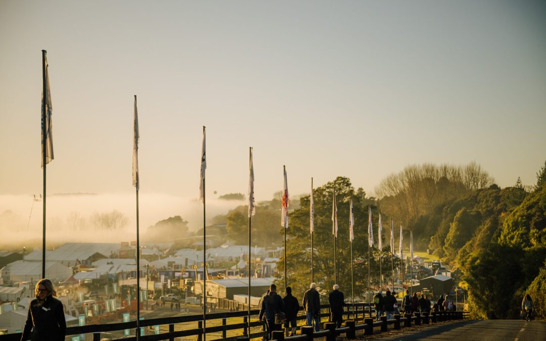 Fieldays Flags Sunrise